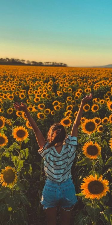 Sunny day, sunflowers, farm, woman, 1080x2160 wallpaper @wallpapersmug : http://bit.ly/2EBfd6v - htt