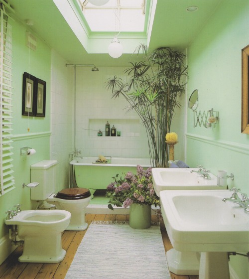 vintagehomecollection:  Plants which thrive in the humid, shady conditions of a bathroom include: ferns, the spider plant, aspidistra, grape ivy, the umbrella plants Dracaena maginata, the weeping fig and philodendrons.  Traditional Country Style, 1991