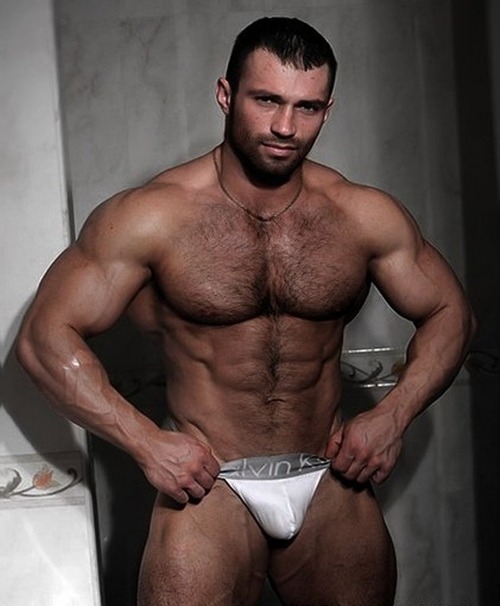 Bears, Bulls and Muscles