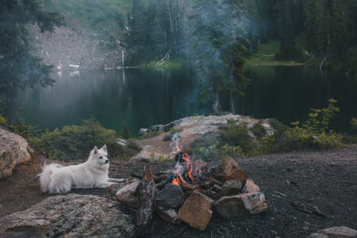 bakerpow: Can’t wait for more nights under the stars with @kayseeray