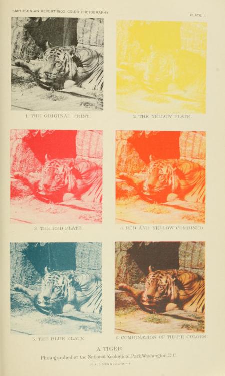 A demonstration of a three color method of printing color photos from the Annual report of the Board