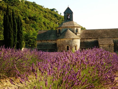 provencetoujours:Gordes - Abbaye de Senanque by Rel-124c41