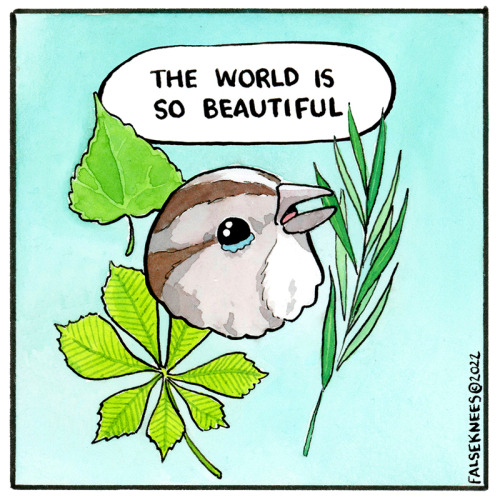 falseknees: Re: Leaf