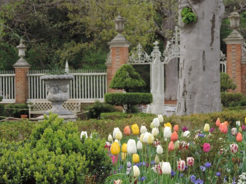 historyadventurer: Governor’s Palace gardens &amp; Weaver’s house garden; Colonial W
