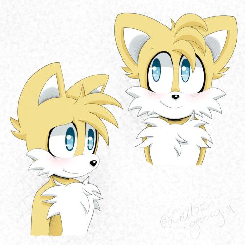 chelsiegeorgia:Tails practice coz I’m never happy with how he turns out.