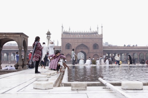 A few portraits of Delhi, at least what we’ve seen so far. 