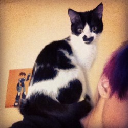 she jumped up there and then bit my shoulder.