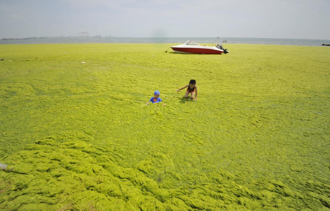 Flores en la playa recuerdan a las víctimas del atentado en Túnez. Las autoridades tunecinas desplegaron a 1.000 agentes de policía adicionales en lugares y playas turísticos del país norteafricano. El ataque en la playa junto al hotel español Riu...