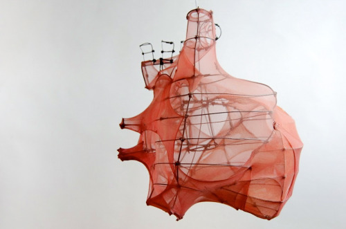 ianbrooks:  Spatial Heart by Kincső TóthArtist: Behance 
