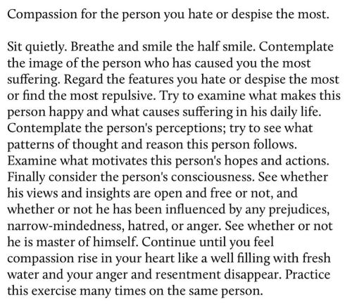 #buddism #mindfulness #thichNhatHanh #spirituality #hate #compassion #anger #resentment #zenwords #r