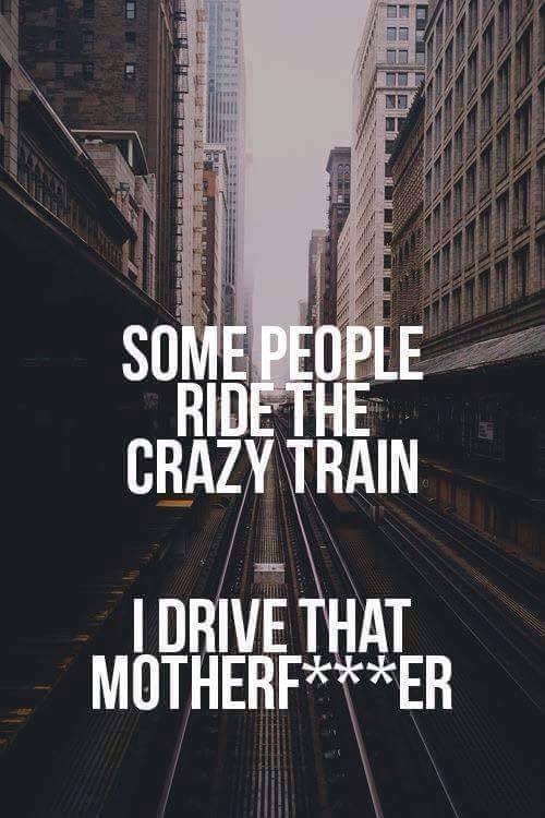 ms-woodsworld:the-disorder-of-chaos:All aboard!!*waves ticket* I’ll take that motherf***ing ride!