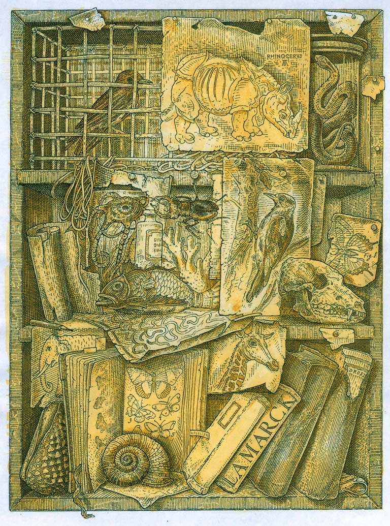 István Orosz - Chevalier Lamarck  (etching, 2014)