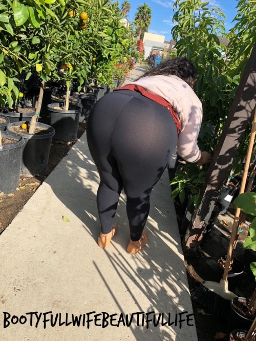 bootyfullwifebeautifullife: 95% of the time she wears thongs… the other 5% of the time, she d
