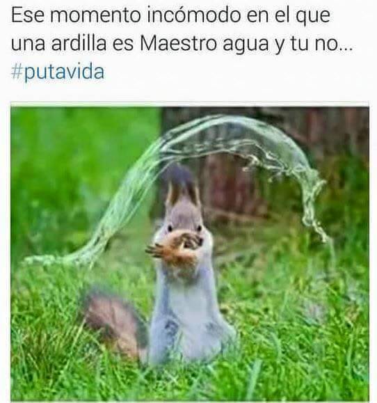chistegraficos:  Ver mas Humor||  Tambien Miles de Videos Graciosos para Whatsapp