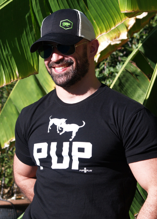 ajaxx63:  Pup Athletic Fit AS84 available from http://www.ajaxx63.com