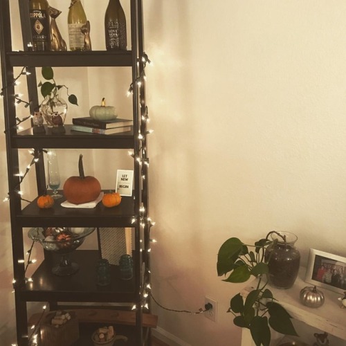 Aaaand&hellip;. just like that, it’s fall in my apartment. My sweet, beautiful, ridiculously and per