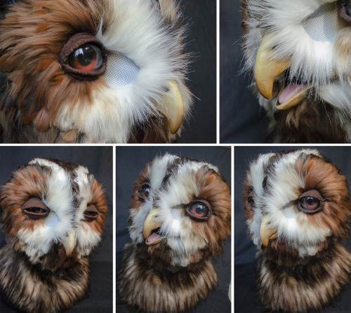  The tawny owl is up for auction! First completed last year, they’ve been updated with improve