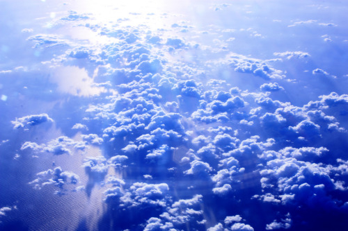 v0tum:  by suzy rowe