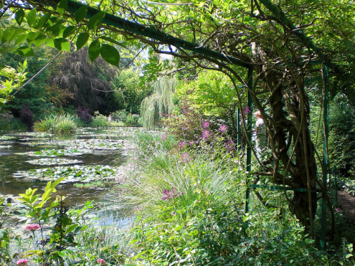 Monet Garden Lake, Giverny by phils11135 on Flickr.