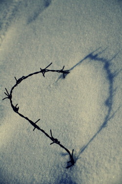 superbnature:Heart Shadow by Ervin-Edward