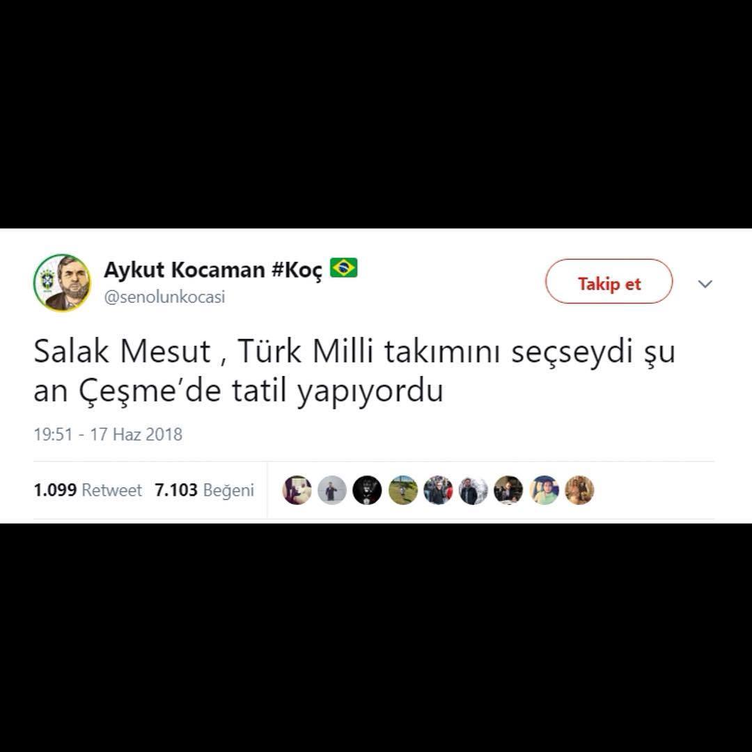 Salak Mesut,Türk milli...