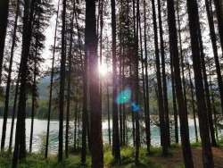 matchbox-mouse:Sunrise beside my tent. The air is fresh and I can feel my lungs opening more fully. I started a small fire and brewed coffee. I’m in love. About to head out for a morning alpine hike. Wish me luck! 