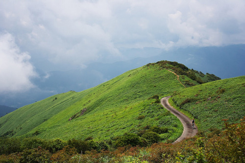 Mt. Myojin (1,541m), Kochi by muneaki on Flickr.