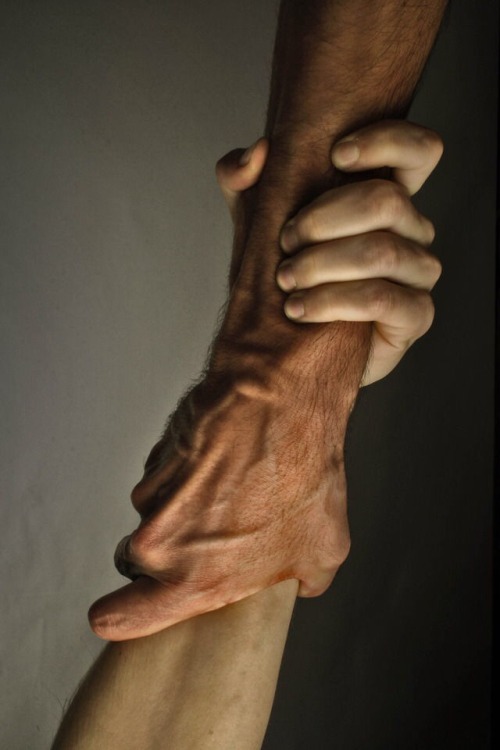 antinoo5:  ami @haveyouseenmymind-ithinkilostit