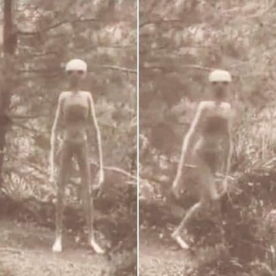 slygirlboy:slygirlboy:my favorite genre of alien picture is little grey aliens just naked in the woods like why the fuck are you here. you have a spaceship. why did you come to earth to just stand in the woods and look at us with no clothesthis is like