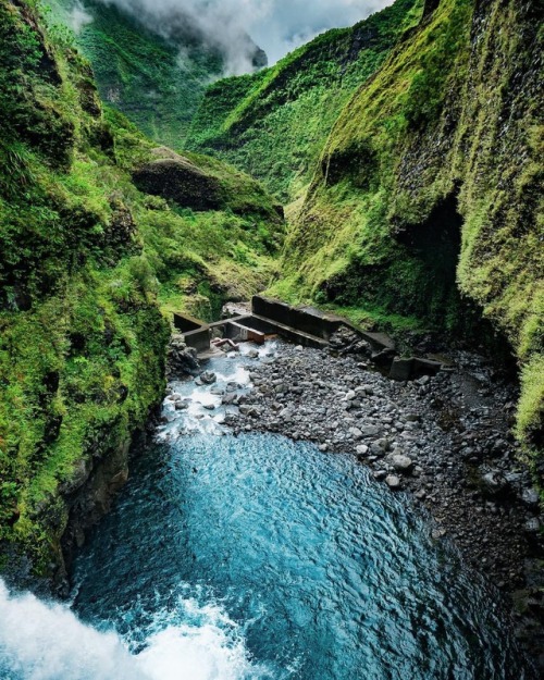 quiet-nymph:Photography by ✨Lolly Reunion Island
