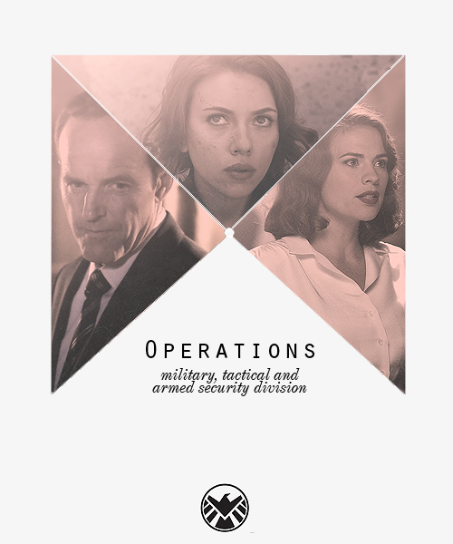 renbaratheon:  strategic homeland intervention, enforcement, and logistics division