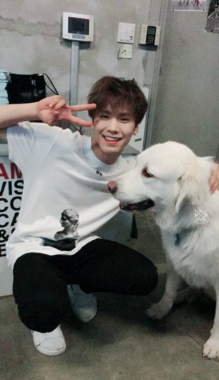 kpop-locks:  rocky ; bf material 🐕like/reblog | @chitaphwn