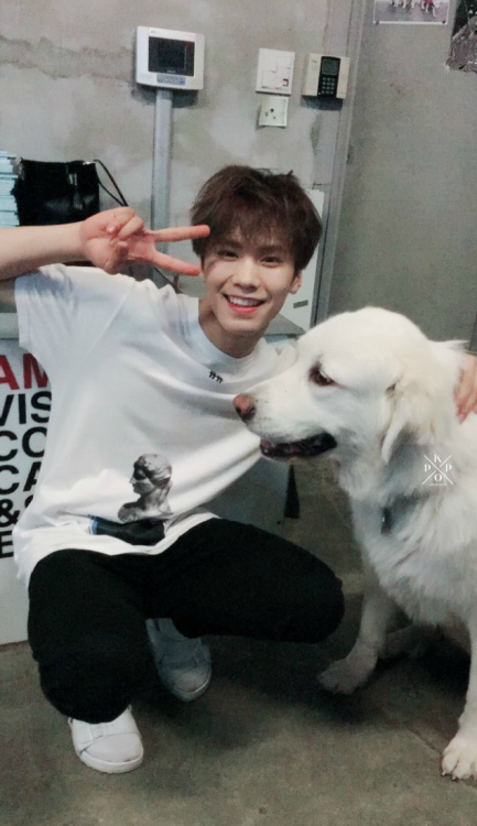 kpop-locks:  rocky ; bf material 🐕like/reblog adult photos