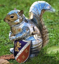 therealmbelow:  a-scarlet-mystery:  mysticallion:  Sir Wherezyurnuts  Cry havoc and let slip the squirrels of war!   Its… and then… Shakespeare…Internet over.  ASM has won.