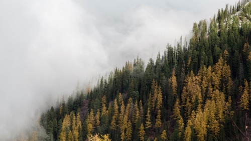 Jewel Basin - Flathead Nation Forest, Montana