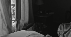 cinematapestry:  Frances Ha (2012) dir. Noah