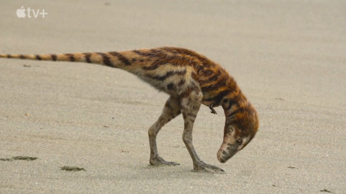 featheredcritter:the little t.rex has cassowary feathers….i can’t