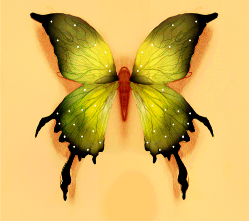 fer1972:  Butterfly effect graphite and digital 2013 by Andrei Nicolescu Blog
