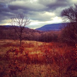 Only saw one deer but the views more than made up for it. #deer #hunting #bedford #pennsylvania #pa #beautiful #mountains