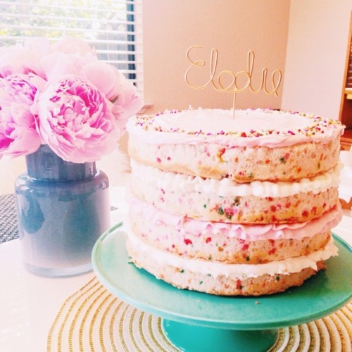 theglitterguide:
“ We think half-birthdays deserve amazing cakes, don’t you? 🍰🍰
”