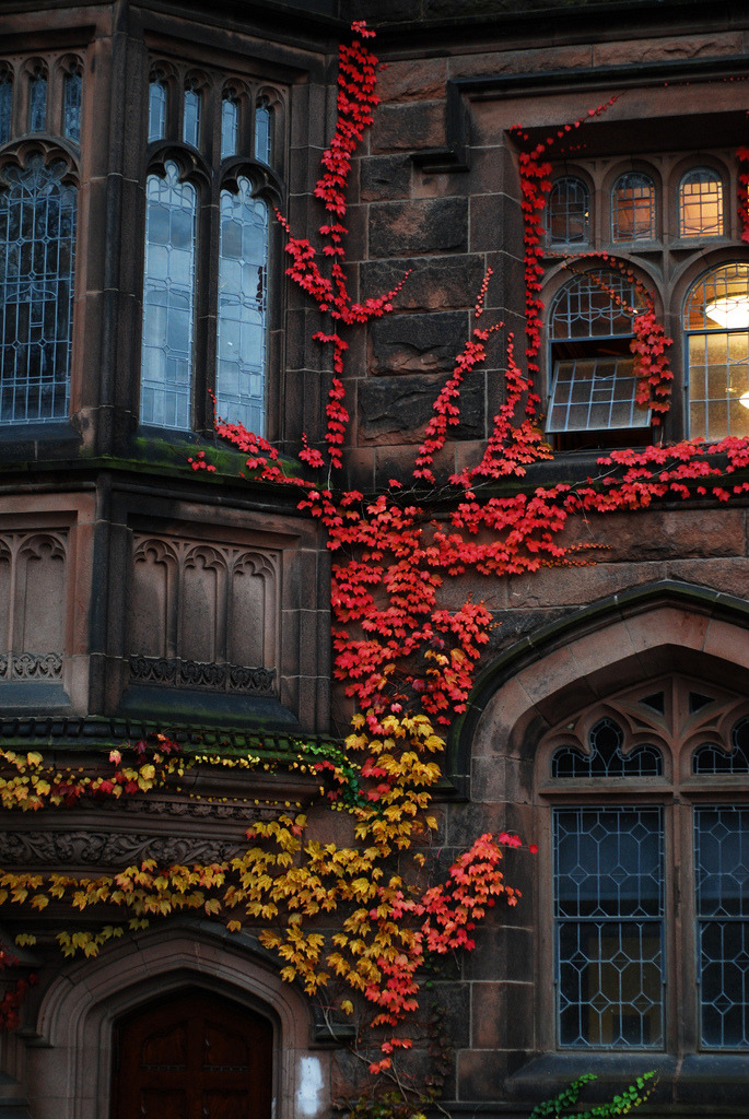 The Forest Of October