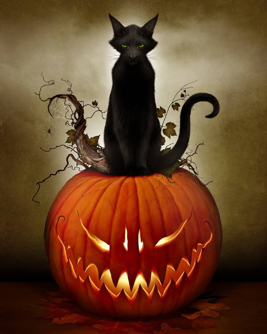 baronwittmann:  Halloween’s a coming…