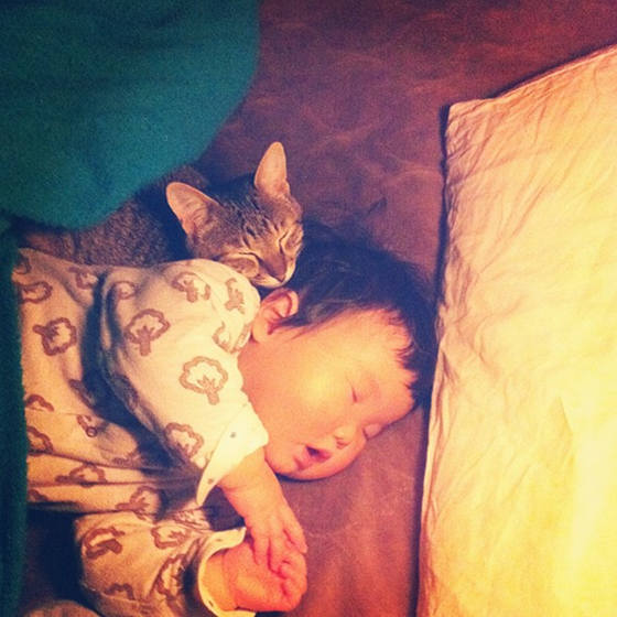 zambiunicorn:  sasaq:  Toco The Cat And His Human: Growing Up Together  I cried 