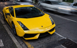 automotivated:  Gallardo Superleggera 600hp