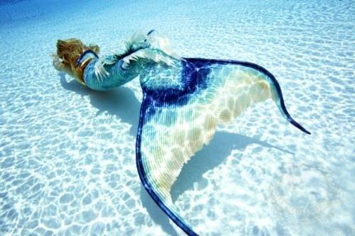 Daddy's Mermaid
