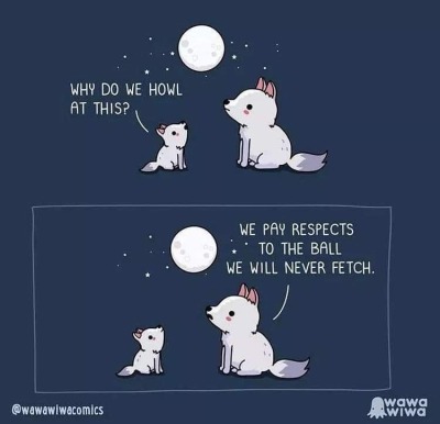 somecutething:The ball we will never fetch. (via Wawawiwa Comics)