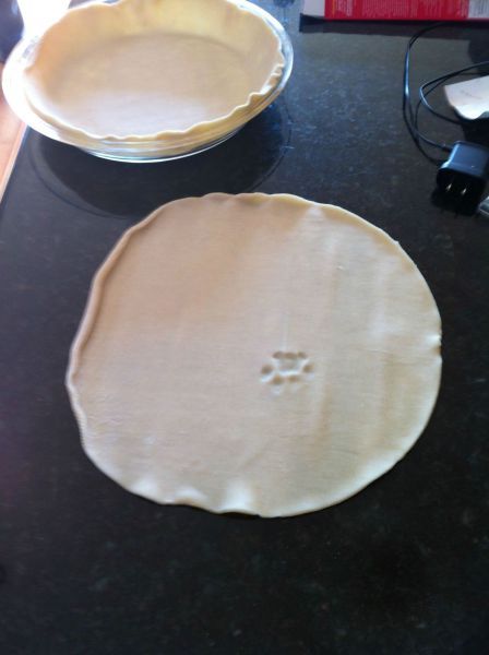 barelytolerable:
“unclefather:
“ this is the scene of the crime
”
That one time our cat ate the entire center out of a baked pumpkin pie the night before we were supposed to take that pie to a family Thanksgiving.
”