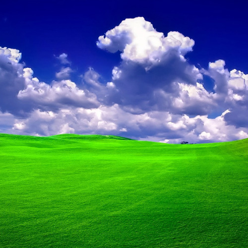 djferreira224:The green fields of Tuscany, Italy