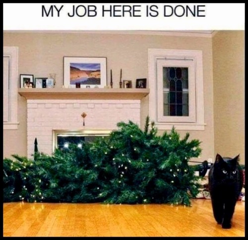 Job Well Done. 