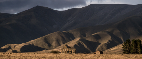 SUBLIME CINEMA #582 - THE POWER OF THE DOGWesterns persist - even if shot in New Zealand, or Spain o